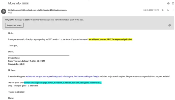 A fake email sent about SEO services